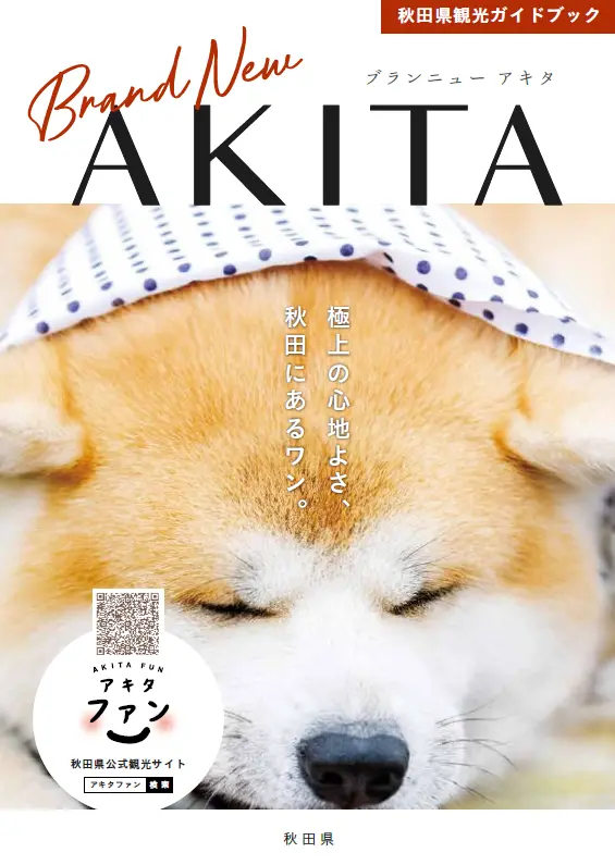 パンフレットダウンロード | アキタファン